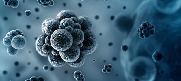 玩具微生物测试 Microbiological Test